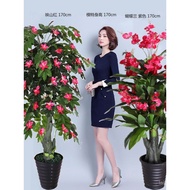Simulasi Pokok Tiruan Pokok Wang Tumbuhan Phalaenopsis Bertuah Lantai Dalaman Berpasu Bonsai Hiasan 