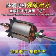 Agricultural Electric Sprayer Water Pump Diaphragm Pump 12V High Pressure Pump Pure Copper Water Ele
