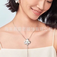 Iris Leather Cord Necklace Women's 2025 Temperament High-End Silver Chain Necklace Niche All-Match E