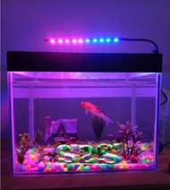 Lampu Aquarium pink biru Lampu Soliter Lampu Cupang Lampu Tidur Lampu Hias