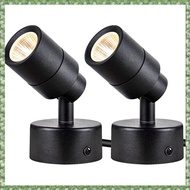 (BGSJ) 2 Pack Indoor LED Spot Lights 3W Up Lights Indoor Floor Spotlight 3000K Uplights Indoor Accen