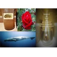 Attar Amber Rose Civet fragrance-non alcoholic batch 11102020