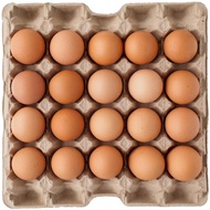 Malaysia AAA Super Jumbo Eggs (20pcs)