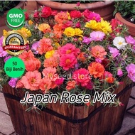 50 biji Benih Bunga Ros Jepun Mix Colour/Rose Moss Flower Seed