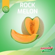 F4vrte Rock Melon Segar / Rock Melon Fresh 1 pcs (Buah Segar)