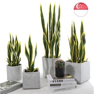 Artificial Snake Plant Outdoor Indoor Corridor Plants Balcony Plant 43