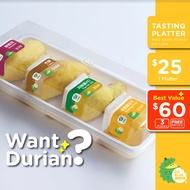 DurianBB Durian Tasting Platter - Mao Shan Wang / Musang King (D78 / D160 / D24 / D197)