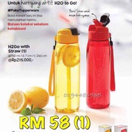 Tupperware H2Go Bottle (1 pc)