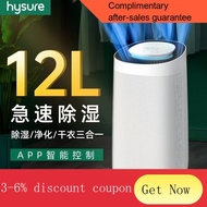 YQ Haishuo Dehumidifier Household Underground Indoor High-Power Compression Dehumidifier Purification Dehumidifier Dormi