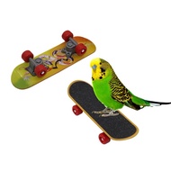 Parrot Mini Skateboard Toys Intelligence Training Exercise Budgie Bird