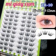 Mermaid Paper Eyelashes 10 Rows Natural ZR10 Length 9-12mm GREEN Thuy Eyelashes