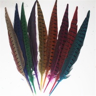 30-35cm Wild Chicken Feather Accessories Dyed Cocktail Feather Jingxi Feather Performance Costume He
