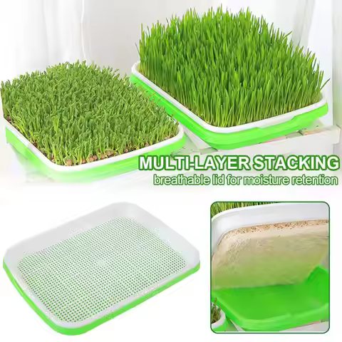 Soilless Planting Seedling Tray,Seed Sprouter Germination Tray for Growing, Bean Sprouts, Cat Grass,