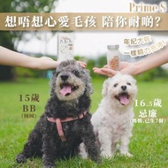 Prime S NMN 犬貓專用保健品