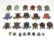 Yujin 原色爬蟲類圖鑑扭蛋 海龜扭蛋 烏龜扭蛋  全新套裝 Turtles & Tortoise 扭蛋  (一套25款連特别版及21張蛋紙) 從未開過原裝膠袋