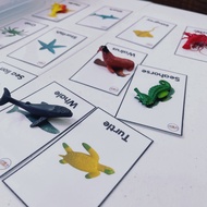 OCEAN SENSORY BIN | For Kids | Children | Ocean | Sea Animals | Summer | Educational | Toys