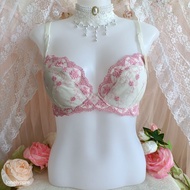 Japan Bra Size: F70 Has Flaws Second-Hand Japanese