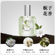 Pure Jasmine Flower Perfume for Women Long Lasting Light Fragrance 72 Hours Osmanthus Rose White Tea