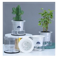 Sg Stock - Self Watering Planter Pots Mini Round Design Succulent Plant Pot Indoor Home Garden Modern Decorative Pot