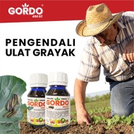 GORDO PENGENDALI ULAT