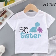 Dinosaur Bis Sister Big Brother TShirt Brothers Sisters Family Dinosaur Theme Tee Shirts Children Gi