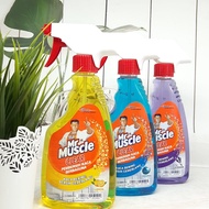 Tk Coconut DuaMr Muscle Glass Cleaner 500ml Bottle