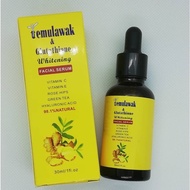 SERUM TEMULAWAK SERUM ESSENCE from Al abobakar store