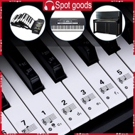 WIN Piano Keyboard Stickers for 88 61 54 Key Colorful Bigger Letter Thinner