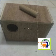 Nestbox Buggie/ baji/kotak telur burung baji/FREE SHIPPING