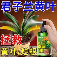 有機肥 花肥 開花肥 肥料 氮磷鉀 磷鉀肥 磷酸二氫鉀 君子蘭促箭劑治黃葉爛根不開花夾箭促花拔箭專用蘭花肥料營養液