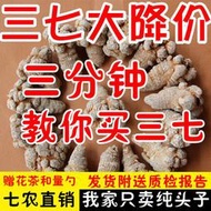 【新貨不要等】雲南文山春三七特級20頭30頭40頭不是野生田七粉正品500g可代磨粉