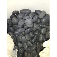 Black alor coral stone