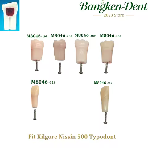 5Pcs Kilgore Nissin 500 Type Dental Practice Screw-in Teeth Model Typodont Endodontic Root Canal Pul