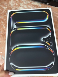 iPad Pro 11inch 256GB