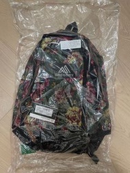 現貨！日本直送🇯🇵Gregory Half Day Mini 背囊 16L容量