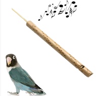 🇹🇭 12PCS WISEL BULUH BURUNG TRADITIONAL WHISTLE BAMBOO BIRD MAINAN TOY BIRD CHIRPING TOYS WISEL BULU