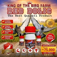 RED BOLIC ISI 100 BUTIR pil penambah cc kencang doping merpati terbang tinggi raja sprint extra jp s