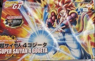 Figure rise standard 超4