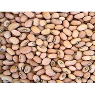 biji kacang tolo / putih black eye peas nut (Vigna unguiculata) tunggak dadap Kacang Mata Hitam oto 