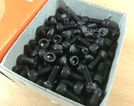 สกรูน็อตหัวจมดำเบอร์10 #M6x15mm (ราคายกกล่องจำนวน 200 ตัว) ขนาด M6x15mm เกลียว 1.0mm Grade : 12.9 Black Oxide BSF สกรูน็อตหัวจมดำหกเหลี่ยม เกรดแข็ง 12.9 ยี่ห้อ BSF น็อตอุสาหกรรมโรงงาน แข็งแรงได้มาตรฐาน