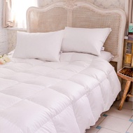 鴻宇 奧斯陸羽絨被 波蘭95%羽絨 台灣製(單人/雙人/加大)