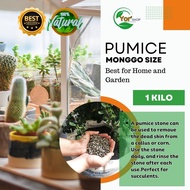 Pumice -Mongo Size (1 kilo per pack )Good for succulent plants and other plants like cactuses l Gand