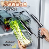 food container lunch bag Coriander scallion fresh-keeping box refrigerator storage box coriander who
