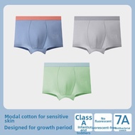 MiiOW | Modal Cotton Briefs for 13 Year Old Boys