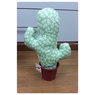 Cotton cactus pot