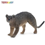 Toymany Simulation Fossa Madagascar Animal Model Toy Mini Figures Dolls Action Figurines Toys