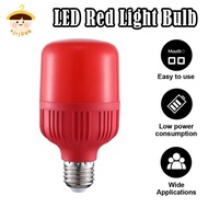〔8C05〕 High Power Red LED Light Bulb E27/B22 AC 220V 5W 10W 15W 30W High Brightness Spot Light Festi