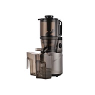 Giselle 250W Multi Function Slow Juicer Cold Press Extractor High Yield Fruit Press with Ice Cream
