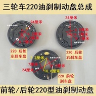 Three Wheel Motorcycle Electric Vehicle Oil Brake Disc 220 Brake Disc Assembly 220 Brake Block Rear 