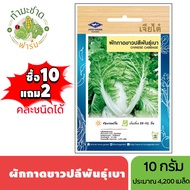 เจียไต๋ (ซื้อ10แถม2) เมล็ดพันธุ์ ผักกาดขาวปลีพันธุ์เบา ขนาด10กรัม ประมาณ4270เมล็ด Chinese Cabbage ผั